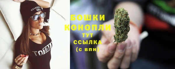 ГАЛЛЮЦИНОГЕННЫЕ ГРИБЫ Белоозёрский