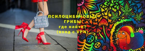 ГАЛЛЮЦИНОГЕННЫЕ ГРИБЫ Белоозёрский