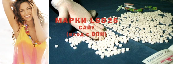 ГАЛЛЮЦИНОГЕННЫЕ ГРИБЫ Белоозёрский