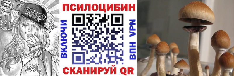 Псилоцибиновые грибы прущие грибы  KRAKEN вход  Кунгур 